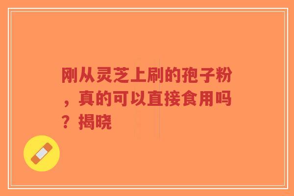 刚从灵芝上刷的孢子粉,真的可以直接食用吗?揭晓-第1张图片-超越 刚从灵芝上刷的孢子粉,真的可以直接食用吗?揭晓-第1张图片-超越