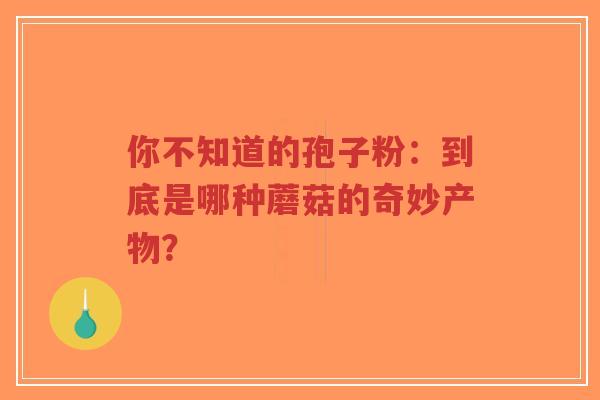 你不知道的孢子粉:到底是哪种蘑菇的奇妙产物?-第1张图片-超越 你不知道的孢子粉:到底是哪种蘑菇的奇妙产物?-第1张图片-超越