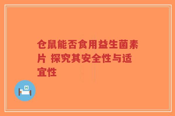 仓鼠能否食用益生菌素片 探究其安全性与适宜性-第1张图片-超越 仓鼠能否食用益生菌素片 探究其安全性与适宜性-第1张图片-超越