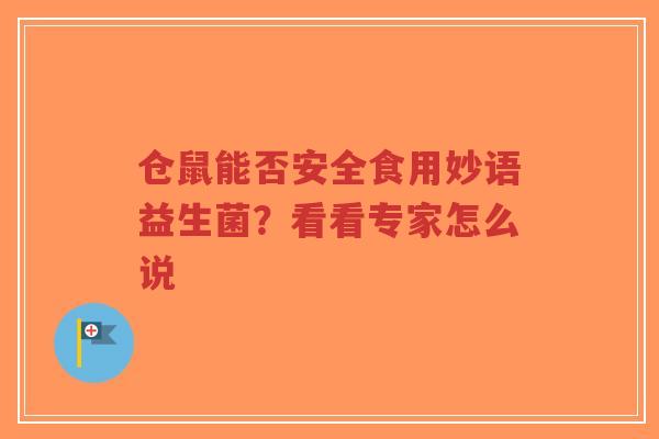 仓鼠能否安全食用妙语益生菌?看看专家怎么说-第1张图片-超越 仓鼠能否安全食用妙语益生菌?看看专家怎么说-第1张图片-超越