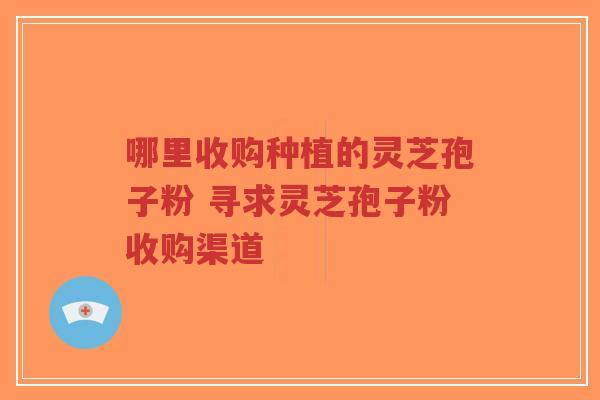 哪里收购种植的灵芝孢子粉 寻求灵芝孢子粉收购渠道-第1张图片-超越 哪里收购种植的灵芝孢子粉 寻求灵芝孢子粉收购渠道-第1张图片-超越