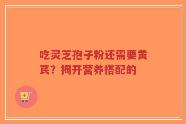 吃灵芝孢子粉还需要黄芪?揭开营养搭配的-第1张图片-超越 吃灵芝孢子粉还需要黄芪?揭开营养搭配的-第1张图片-超越