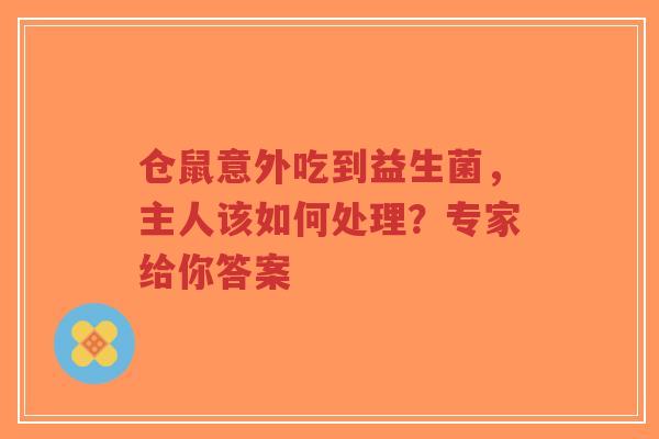 仓鼠意外吃到益生菌,主人该如何处理?专家给你答案-第1张图片-超越 仓鼠意外吃到益生菌,主人该如何处理?专家给你答案-第1张图片-超越
