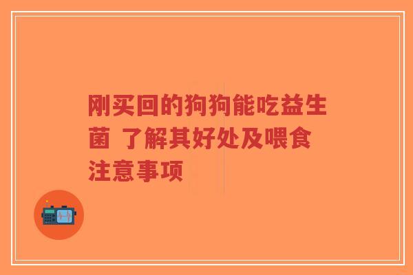 刚买回的狗狗能吃益生菌 了解其好处及喂食注意事项-第1张图片-超越 刚买回的狗狗能吃益生菌 了解其好处及喂食注意事项-第1张图片-超越