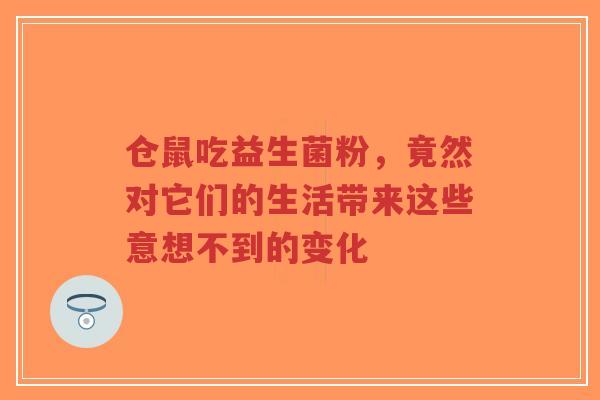 仓鼠吃益生菌粉,竟然对它们的生活带来这些意想不到的变化-第1张图片-超越 仓鼠吃益生菌粉,竟然对它们的生活带来这些意想不到的变化-第1张图片-超越