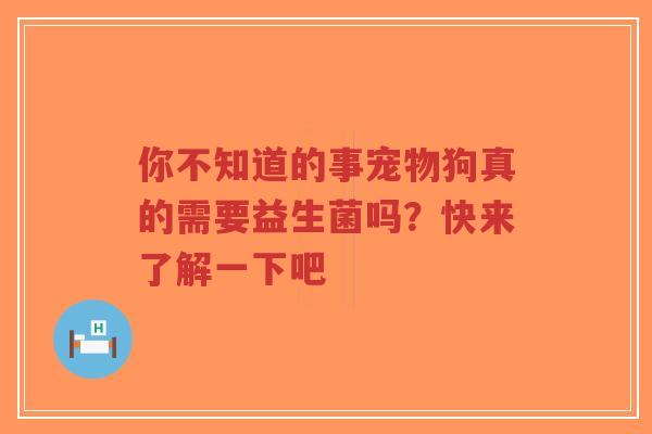 你不知道的事宠物狗真的需要益生菌吗?快来了解一下吧-第1张图片-超越 你不知道的事宠物狗真的需要益生菌吗?快来了解一下吧-第1张图片-超越