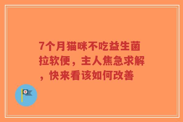 7个月猫咪不吃益生菌拉软便,主人焦急求解,快来看该如何改善-第1张图片-超越 7个月猫咪不吃益生菌拉软便,主人焦急求解,快来看该如何改善-第1张图片-超越