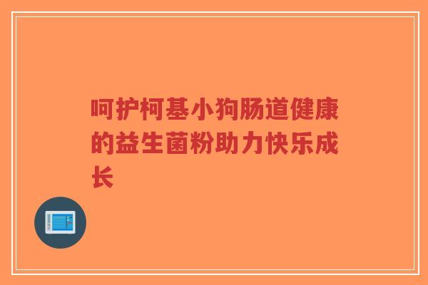 呵护柯基小狗肠道健康的益生菌粉助力快乐成长-第1张图片-超越 呵护柯基小狗肠道健康的益生菌粉助力快乐成长-第1张图片-超越