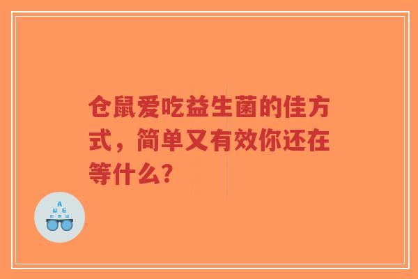 仓鼠爱吃益生菌的佳方式,简单又有效你还在等什么?-第1张图片-超越 仓鼠爱吃益生菌的佳方式,简单又有效你还在等什么?-第1张图片-超越
