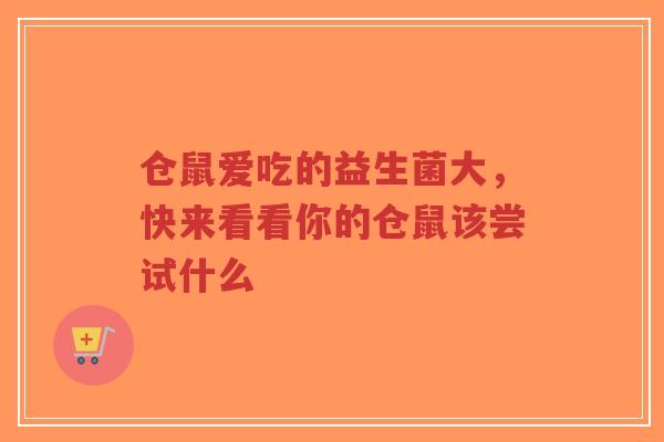 仓鼠爱吃的益生菌大,快来看看你的仓鼠该尝试什么-第1张图片-超越 仓鼠爱吃的益生菌大,快来看看你的仓鼠该尝试什么-第1张图片-超越