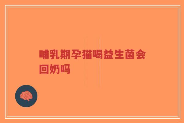 哺乳期孕猫喝益生菌会回奶吗-第1张图片-超越 哺乳期孕猫喝益生菌会回奶吗-第1张图片-超越