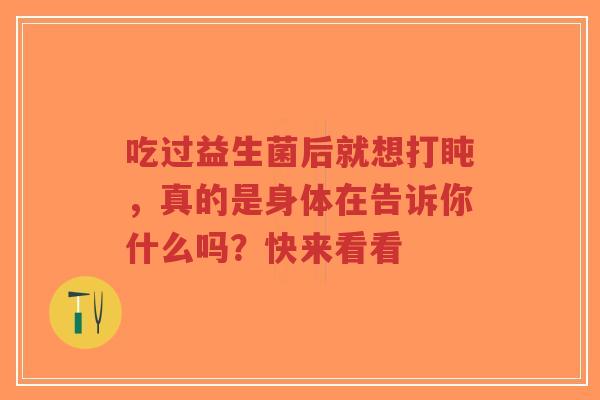吃过益生菌后就想打盹,真的是身体在告诉你什么吗?快来看看-第1张图片-超越 吃过益生菌后就想打盹,真的是身体在告诉你什么吗?快来看看-第1张图片-超越