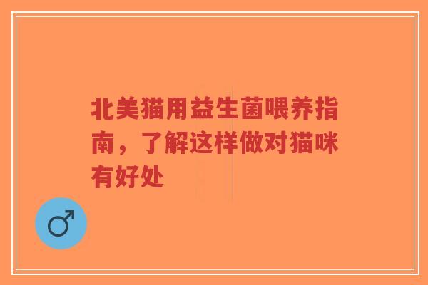 北美猫用益生菌喂养指南,了解这样做对猫咪有好处-第1张图片-超越 北美猫用益生菌喂养指南,了解这样做对猫咪有好处-第1张图片-超越