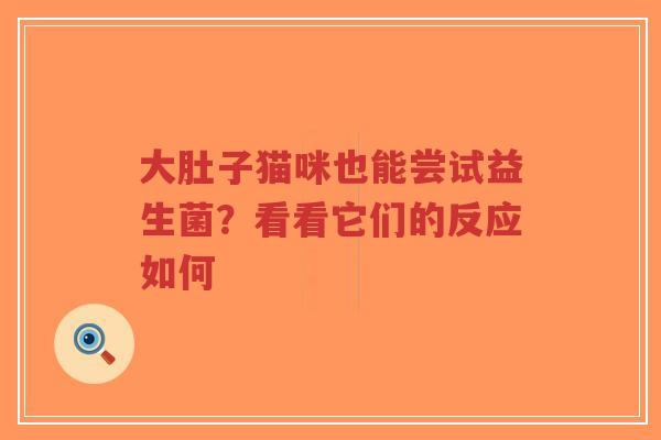 大肚子猫咪也能尝试益生菌?看看它们的反应如何-第1张图片-超越 大肚子猫咪也能尝试益生菌?看看它们的反应如何-第1张图片-超越