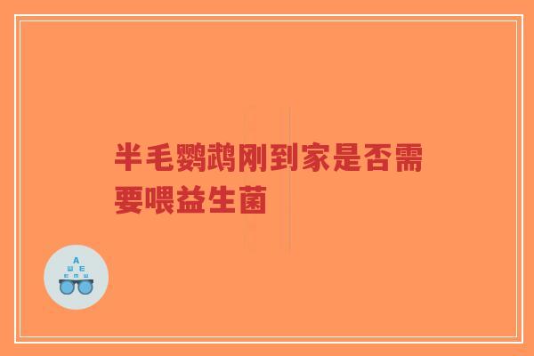 半毛鹦鹉刚到家是否需要喂益生菌-第1张图片-超越 半毛鹦鹉刚到家是否需要喂益生菌-第1张图片-超越