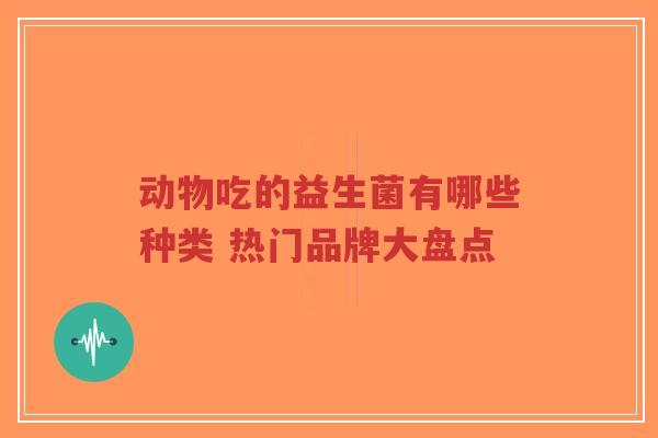动物吃的益生菌有哪些种类 热门品牌大盘点-第1张图片-超越 动物吃的益生菌有哪些种类 热门品牌大盘点-第1张图片-超越