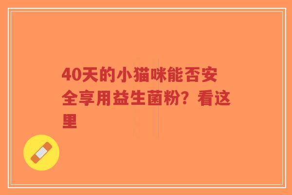 40天的小猫咪能否安全享用益生菌粉?看这里-第1张图片-超越 40天的小猫咪能否安全享用益生菌粉?看这里-第1张图片-超越