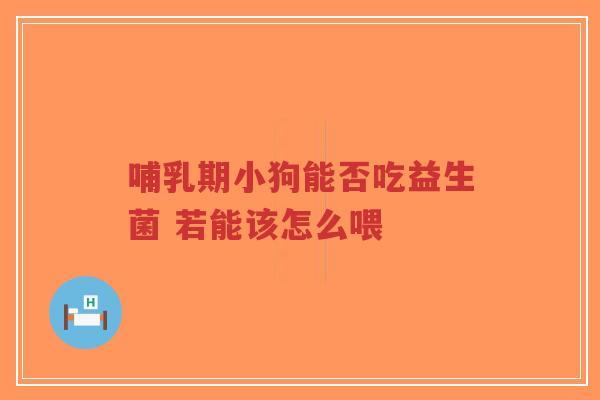 哺乳期小狗能否吃益生菌 若能该怎么喂-第1张图片-超越 哺乳期小狗能否吃益生菌 若能该怎么喂-第1张图片-超越
