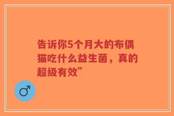 告诉你5个月大的布偶猫吃什么益生菌，真的超级有效”-第1张图片-超越