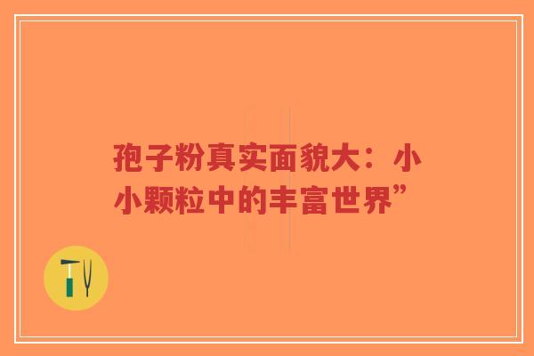 孢子粉真实面貌大：小小颗粒中的丰富世界”-第1张图片-超越