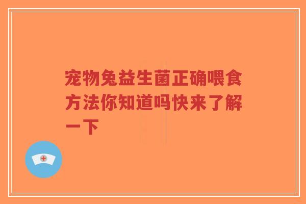 宠物兔益生菌正确喂食方法你知道吗快来了解一下-第1张图片-超越