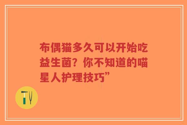 布偶猫多久可以开始吃益生菌?你不知道的喵星人护理技巧”-第1张图片-超越 布偶猫多久可以开始吃益生菌?你不知道的喵星人护理技巧”-第1张图片-超越
