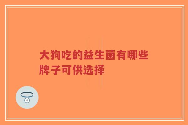 大狗吃的益生菌有哪些牌子可供选择-第1张图片-超越 大狗吃的益生菌有哪些牌子可供选择-第1张图片-超越