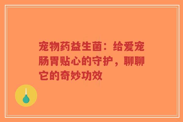 宠物药益生菌:给爱宠肠胃贴心的守护,聊聊它的奇妙功效-第1张图片-超越 宠物药益生菌:给爱宠肠胃贴心的守护,聊聊它的奇妙功效-第1张图片-超越