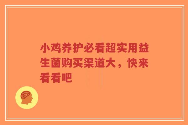 小鸡养护必看超实用益生菌购买渠道大,快来看看吧-第1张图片-超越 小鸡养护必看超实用益生菌购买渠道大,快来看看吧-第1张图片-超越