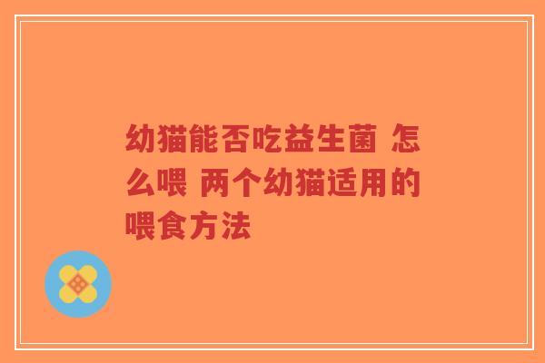 幼猫能否吃益生菌 怎么喂 两个幼猫适用的喂食方法-第1张图片-超越 幼猫能否吃益生菌 怎么喂 两个幼猫适用的喂食方法-第1张图片-超越