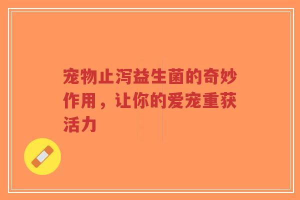 宠物止泻益生菌的奇妙作用,让你的爱宠重获活力-第1张图片-超越 宠物止泻益生菌的奇妙作用,让你的爱宠重获活力-第1张图片-超越