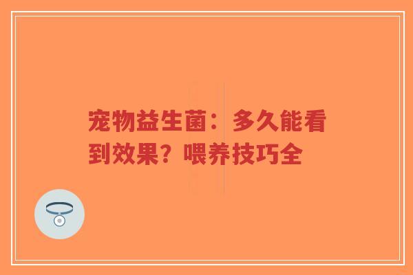 宠物益生菌:多久能看到效果?喂养技巧全-第1张图片-超越 宠物益生菌:多久能看到效果?喂养技巧全-第1张图片-超越