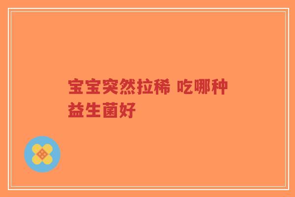 宝宝突然拉稀 吃哪种益生菌好-第1张图片-超越 宝宝突然拉稀 吃哪种益生菌好-第1张图片-超越