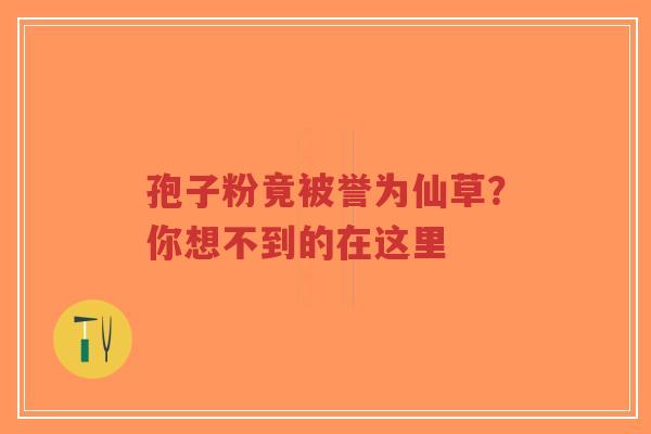 孢子粉竟被誉为仙草?你想不到的在这里-第1张图片-超越 孢子粉竟被誉为仙草?你想不到的在这里-第1张图片-超越