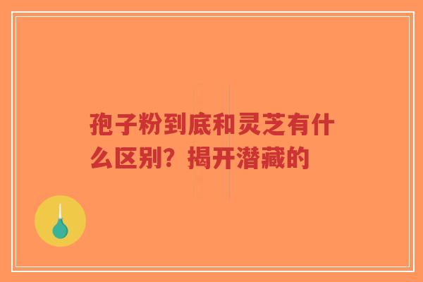 孢子粉到底和灵芝有什么区别?揭开潜藏的-第1张图片-超越 孢子粉到底和灵芝有什么区别?揭开潜藏的-第1张图片-超越