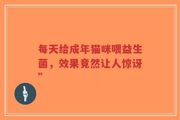 每天给成年猫咪喂益生菌，效果竟然让人惊讶”-第1张图片-超越