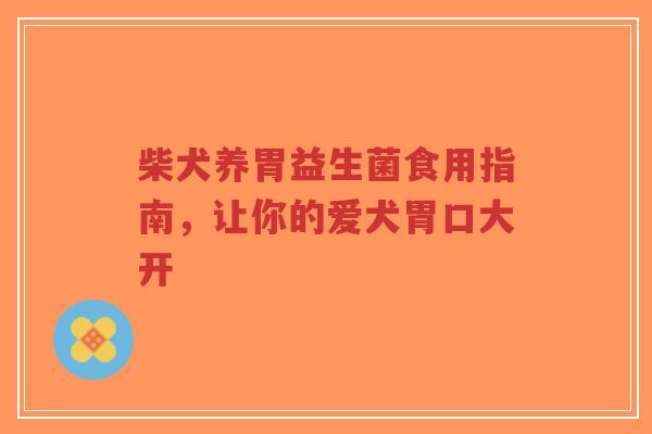 柴犬养胃益生菌食用指南,让你的爱犬胃口大开-第1张图片-超越 柴犬养胃益生菌食用指南,让你的爱犬胃口大开-第1张图片-超越