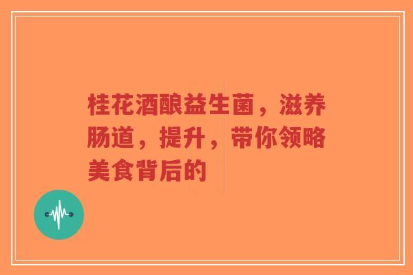 桂花酒酿益生菌，滋养肠道，提升，带你领略美食背后的-第1张图片-超越