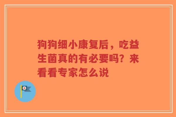狗狗细小康复后,吃益生菌真的有必要吗?来看看专家怎么说-第1张图片-超越 狗狗细小康复后,吃益生菌真的有必要吗?来看看专家怎么说-第1张图片-超越