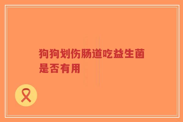 狗狗划伤肠道吃益生菌是否有用-第1张图片-超越 狗狗划伤肠道吃益生菌是否有用-第1张图片-超越