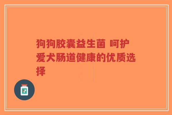 狗狗胶囊益生菌 呵护爱犬肠道健康的优质选择-第1张图片-超越