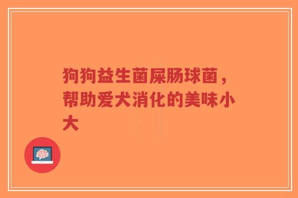 狗狗益生菌屎肠球菌,帮助爱犬消化的美味小大-第1张图片-超越 狗狗益生菌屎肠球菌,帮助爱犬消化的美味小大-第1张图片-超越