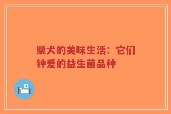 柴犬的美味生活:它们钟爱的益生菌品种-第1张图片-超越 柴犬的美味生活:它们钟爱的益生菌品种-第1张图片-超越