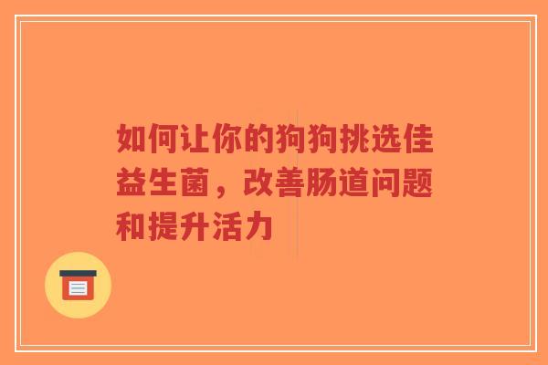 如何让你的狗狗挑选佳益生菌,改善肠道问题和提升活力-第1张图片-超越 如何让你的狗狗挑选佳益生菌,改善肠道问题和提升活力-第1张图片-超越
