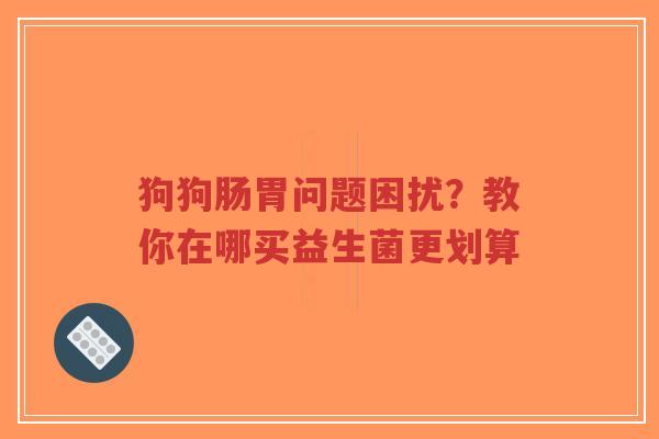 狗狗肠胃问题困扰?教你在哪买益生菌更划算-第1张图片-超越 狗狗肠胃问题困扰?教你在哪买益生菌更划算-第1张图片-超越