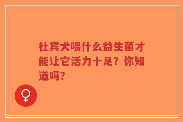 杜宾犬喂什么益生菌才能让它活力十足?你知道吗?-第1张图片-超越 杜宾犬喂什么益生菌才能让它活力十足?你知道吗?-第1张图片-超越