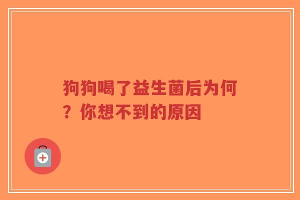 狗狗喝了益生菌后为何？你想不到的原因-第1张图片-超越