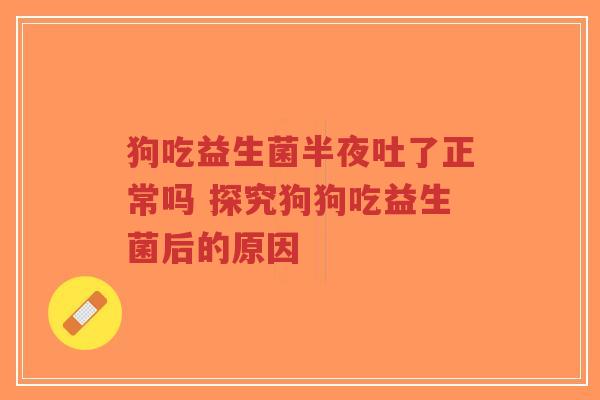 狗吃益生菌半夜吐了正常吗 探究狗狗吃益生菌后的原因-第1张图片-超越