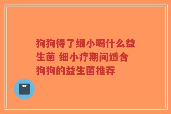 狗狗得了细小喝什么益生菌 细小疗期间适合狗狗的益生菌推荐-第1张图片-超越