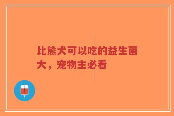 比熊犬可以吃的益生菌大，宠物主必看-第1张图片-超越